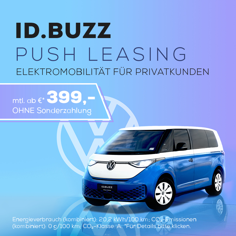 Beitragsbild ID Buzz