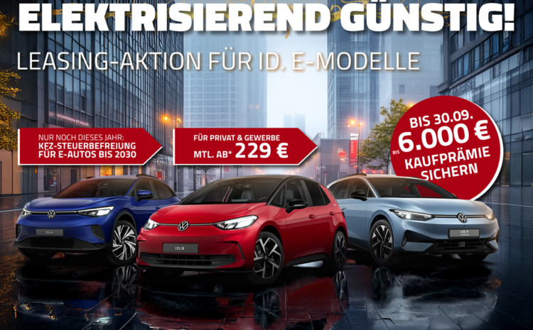  ID Offensive bei Seifert